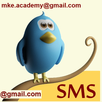 Group SMS APK