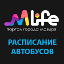 APK Мозырь. Расписание автобусов.
