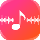 Fusion Music Player APK
