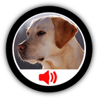 Sounds Dog ikona