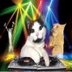 Dj Disco Cat Video Music Clock