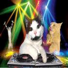 Dj Disco Cat Video Music Clock icône