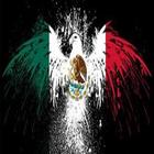 México Bandera selfie icône