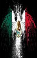 México Bandera selfie Affiche
