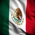 Reloj de la bandera de México icône
