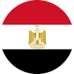خدمات الحكومة المصرية