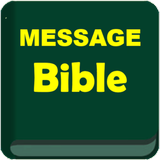 La Bible en anglais icône