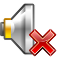 Disable Ringer