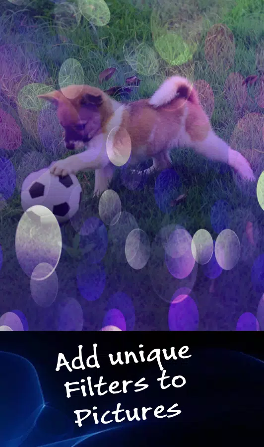 Photo Funia APK for Android Download Photo Funia APK for Android Download
