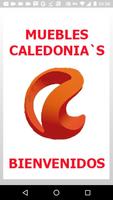 Muebles Caledonias-poster
