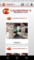 Muebles Caledonias скриншот 2