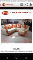 Muebles Caledonias скриншот 3