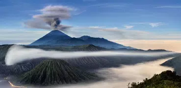 カリグラフィチュートリアル