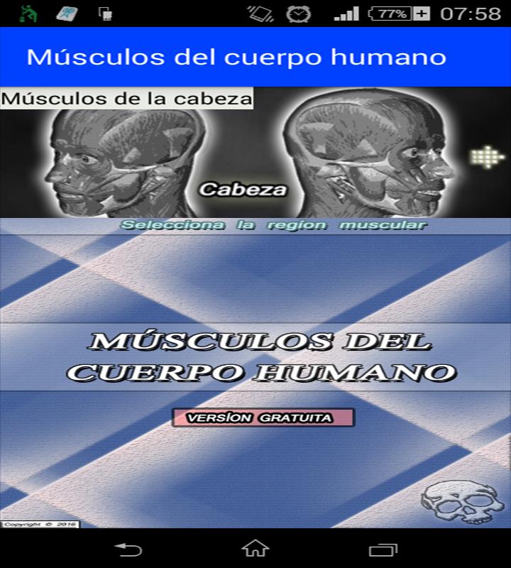 Músculo Del Cuerpo Humano Free For Android Apk Download - como tener musculos gratis roblox youtube
