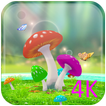 Mushrooms 4K Video Wallpaper
