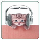 MP3 player with Cat Photos APK