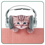 MP3 player with Cat Photos