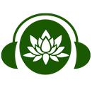 MP3 player with Flowers Photos APK