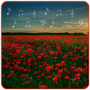 MP3 Music Download with Garden Photos APK