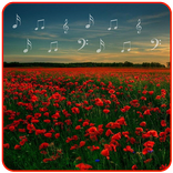 MP3 Music Download with Garden Photos