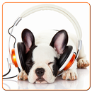 MP3 player with Dog Photos APK
