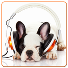 MP3 player with Dog Photos アイコン