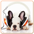 MP3 player with Dog Photos simgesi