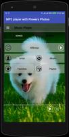 MP3 player with Dog Photos Affiche