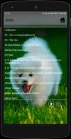 MP3 player with Dog Photos screenshot 2