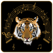 MP3 player with Tiger Photos