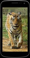 MP3 player with Tiger Photos capture d'écran 1