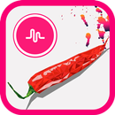 Salsa Sauce Videos APK