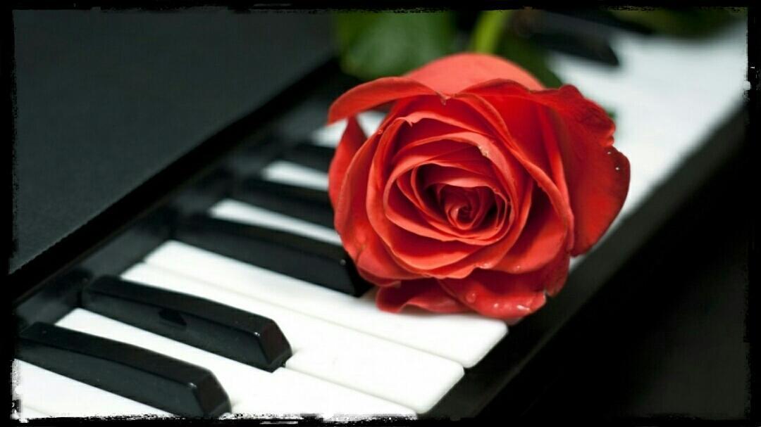 Песня подарок другу. Розы на фортепиано. Фортепьяно в цветах. Картинки пианино и цветы.