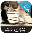 رد علينا يا بابا