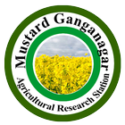 Mustard Ganganagar आइकन