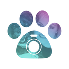 Petcam - Pet Camera biểu tượng