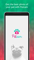Petcam - Pet Camera Affiche