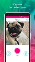 Petcam - Pet Camera capture d'écran 2