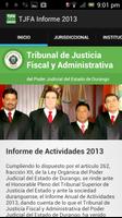 Poster TJFA Informe 2013