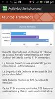 TJFA Informe 2013 스크린샷 2