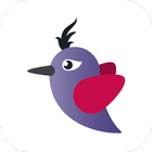 Wishbird icône