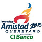 Torneo de la Amistad icône