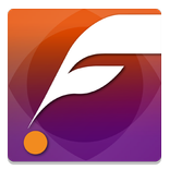 Flash Manager México