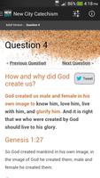 New City Catechism poster