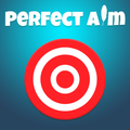 Hastha Perfect Aim