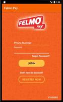 FelmoPay-poster