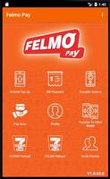 FelmoPay تصوير الشاشة 1