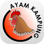 MARDI Penternakan Ayam Kampung icône