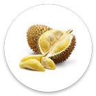 Durian-icoon