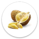 Durian aplikacja